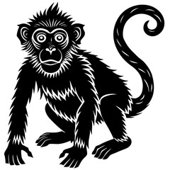 Obraz premium black silhouette of a Monkey animal 