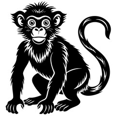 Fototapeta premium black silhouette of a Monkey animal 