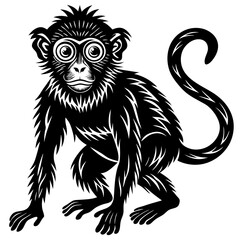 Fototapeta premium black silhouette of a Monkey animal 