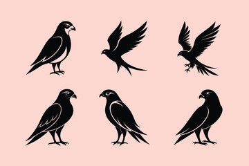 Black-winged Kite bird, silhouette vector illustration