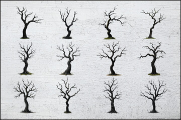 Haunting Stillness
 Ebony Entwined
Curves of Decay