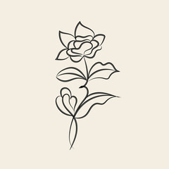 Obraz premium Elegant Black Line Art Flower Drawing Botanical Illustration