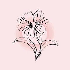 Elegant Minimalist Line Art Flower Illustration on Pink Background