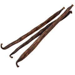 aromatic vanilla pods isolated on transparent background