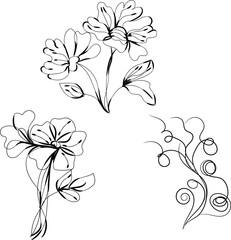 Elegant Black and White Line Art Floral Designs Set