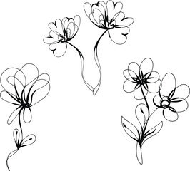 Elegant Black Line Art Floral Designs Botanical Illustrations