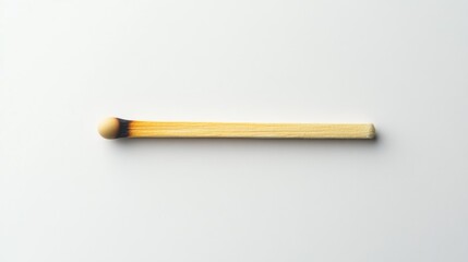 Obraz premium Single used matchstick on white background
