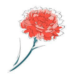 カーネーション赤・母の日