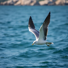 Gaviota remontando vuelo en el mar