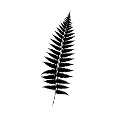 Fern Leaf Silhouette - Minimalist Design