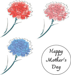 カーネーション・母の日セット