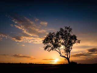 Silhouette of a tree against a sunset sky with clouds and warm colors.