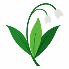 green leaves on white background