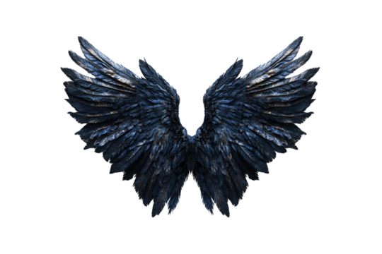 Feathers splay in a perfect V-shape, creating an intense black wing silhouette with subtle sheen, isolated on a transparent background