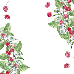 Square frame with raspberry branches. Isolated watercolor illustration of ripe berries for product packaging design, photo frame decoration, poster printing.