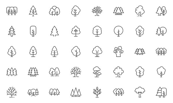 Tree and Forest Line Icon Bundle. Modern Collection for Design, Web Sites, Apps, Cards. Contains Linear Images of Deciduous and Coniferous Trees. Editable stroke. Vector illustration.