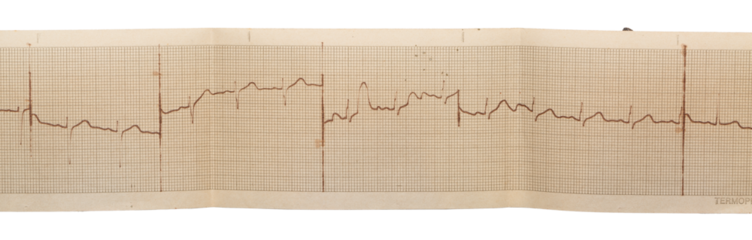 Vintage paper and documents from scratch, grunge details, elements for graphic design, realistic photography png isolated on transparent background