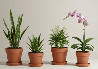 Fototapeta premium flower in pot