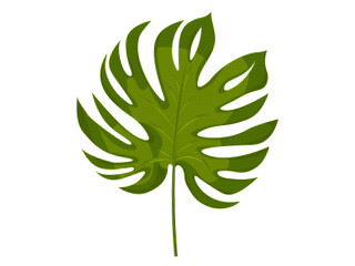 Tropical monstera leaf with halftone grain texture. Exotic green plant for contemporary collage art. Palm leaves on a white background for advertising. Vector illustration.