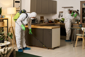 Colleagues in protective suits using special equipment to do disinfection in apartment