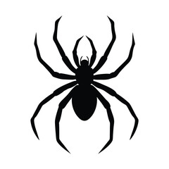 Obraz premium spider isolated on white background