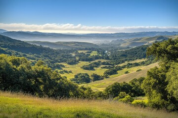 Obraz premium A breathtaking panoramic view of a lush green valley surrounded by rolling hills under a clear blue sky, with soft morning mist enhancing the serene landscape, ideal for nature enthusiasts