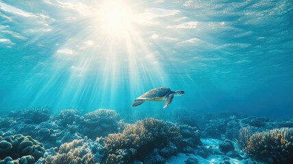 Fototapeta premium Vibrant underwater ecosystem with coral reefs and graceful sea turtle Generative AI