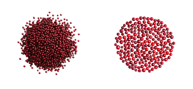 Two circles of red beads and cranberries on black, cut out transparent