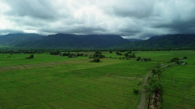 Narra rice fields and rural valley in Palawan with green farmland mountain range dirt road and heavy storm clouds over the horizon