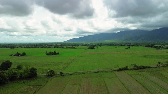 Wide Narra Palawan rice fields stretch toward forested mountains below layered storm clouds with rural tree lines and open agricultural plains