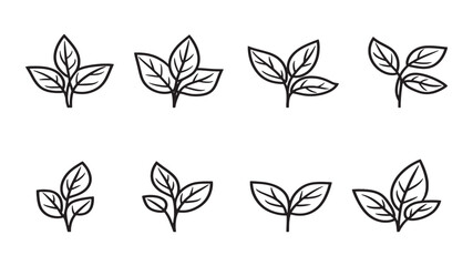 Basil leaf line art botanical design for natural health lovers