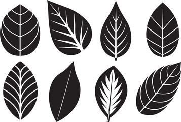 Fototapeta premium Set of leaves, flat silhouette. Hand drawn vector illustration
