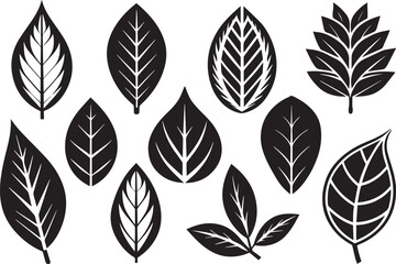 Fototapeta premium Set of leaves, flat silhouette. Hand drawn vector illustration