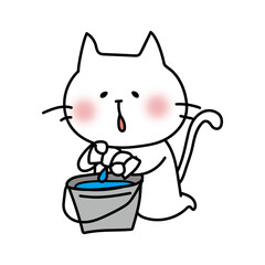 掃除用の雑巾を絞る白い猫