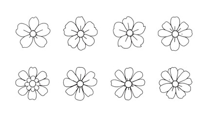 Elderflower line art delicate floral design with elegant details