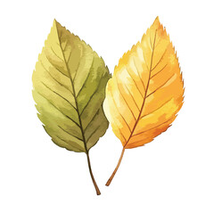 A autumn leaves cute watercolors illustration on white background