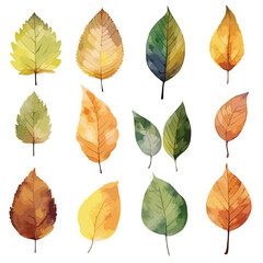 A autumn leaves cute watercolors illustration on white background