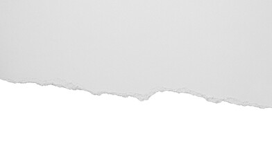 torn blank pages with uneven texture edges. set of ripped white paper sheets png isolated on...