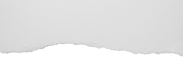 torn blank pages with uneven texture edges. set of ripped white paper sheets png isolated on transparent background. document or newspaper mockup..