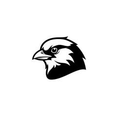 Black and White Falcon Head Illustration Sharp Vector Design