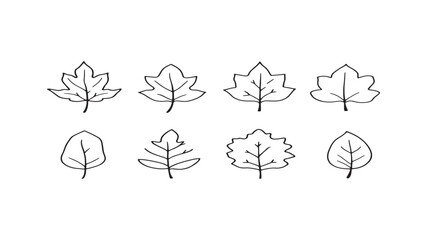 Sycamore leaf line art perfect for prints and illustrations