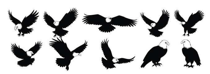 Eagle Bird Silhouettes Vector.
