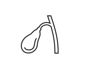 胆嚢のイラスト