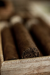 Close up detail of cigar tobacco end in box vertical