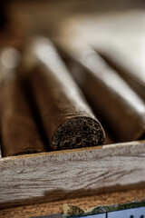 Close up detail of cigar tobacco end in box vertical