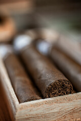 Close up detail of cigar tobacco end in box vertical