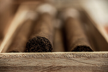 Close up detail of cigar tobacco end in box