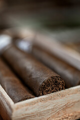 Close up detail of cigar tobacco end in box vertical