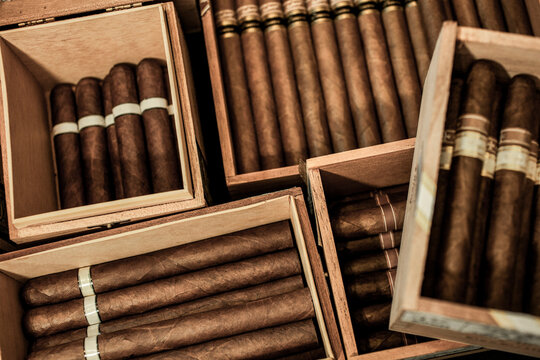 Stacks of new cigars in wooden boxes stacked up
