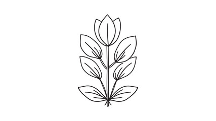 Obraz premium Yucca flower line art delicate botanical drawing in elegant detail